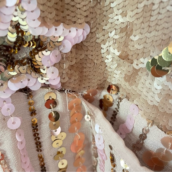 Free People Celeste Sequin Dress / Free People Dress - Picture 15 of 16